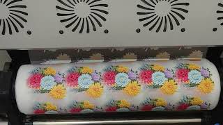 4 Head DTF Printer + Automatic Powder Shaker Machine | Complete Factory Setup in India