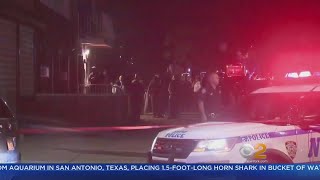 Deadly Queens Shooting