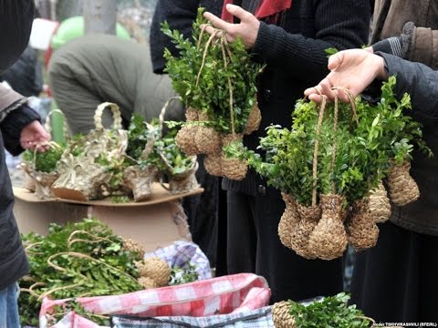 BZOBA  / ბზობა