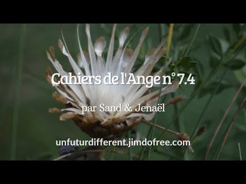 cahier-7.4-:-se-préparer-au-changement-de-densité---par-sand-&-jenaël