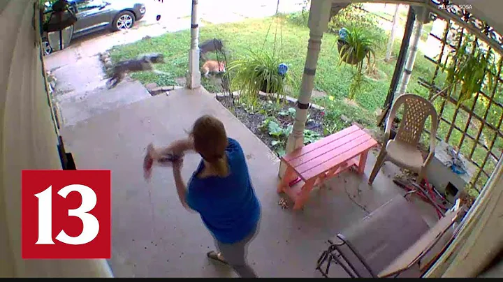 Caught On Camera | Indy Residents Want Action After Violent Dog Attacks - DayDayNews