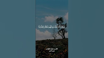 ﴿واذكر عبدنا ايوب اذ نادى ربه اني مسني الشيطان﴾ القارئ محمد النقيدان