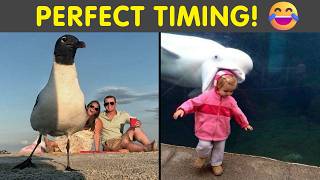 Hilarious Photobombs Caught at the Perfect Moment | Humor Sweet screenshot 5