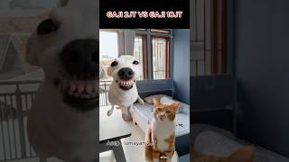 Download Lagu GAJI 2JT VS GAJI 10JT Part#1 #kucingkarbid #shorts MP3