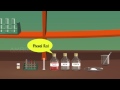 Urine Analysis Tests Quiz