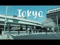 Cherry blossom spots in Tokyo - Japan | Nihombashi - Sakura + City View Cruise Tour 日本橋クルーズ