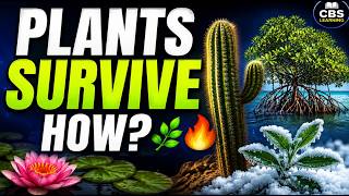 Hydrophytes, Xerophytes & Halophytes Explained| Plant Adaptation | Class 10 Biology