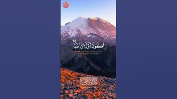 قل أغير الله أتخذ ولياً فاطر السموات والارض.. #محمد_أيوب #ريحانة_قرآن #قرآن #تلاوات_خاشعة