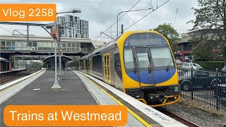 Sydney Trains Vlog 2258: Trains at Westmead