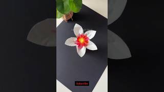 How to Make Magic Tissue Paper Flower | DIY Blooming Flower Trick #art #shorts #shortsfeed