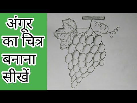 अंगूर का चित्र बनाना सीखें अासान तरीके से | How to draw Grapes Very easy Drawing | Pencil drawing