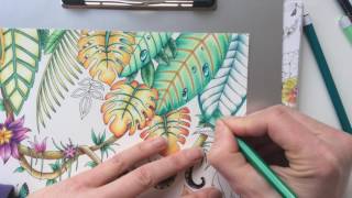 Magical Jungle - double page part 2 screenshot 2