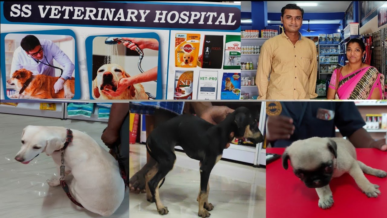 /S.S. Veterinary Hospital & Pet Super market vlog/Part 1/K.T.C Nagar/Tirunelveli/Thrive2explore