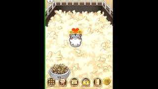 Hamster Life apk para Android screenshot 5