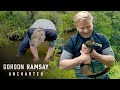 Gordon Ramsay Learns The Traditional Maori Way Of Catching Eels | Gordon Ramsay: Uncharted