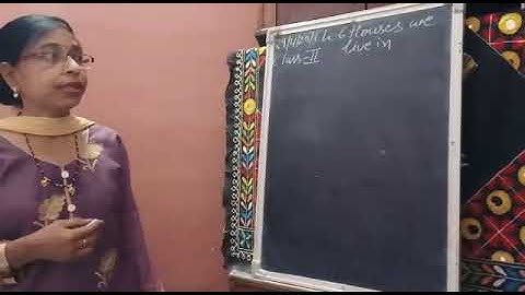Class 2nd EVS chapter number 6 houses we live in question answer