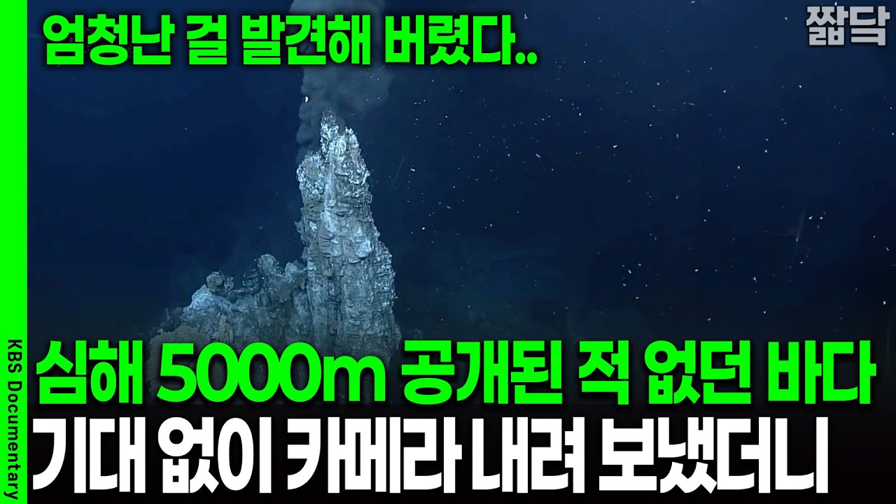 '대박..;;' 상상도 못 했던 생물을 찾아버렸다.. 심해 5000m 무인잠수정 내려 보냈더니.. | KBS 20181207 방송