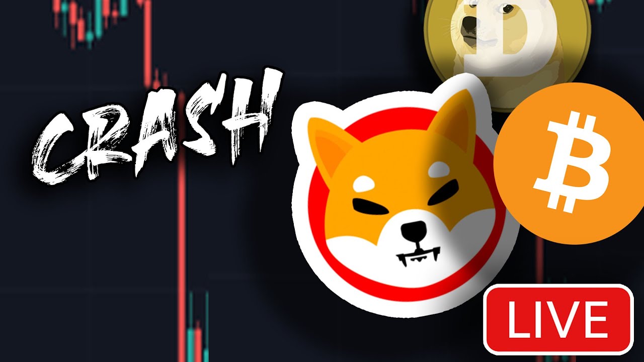 Shiba Inu Coin Crash After Jpmorgan Warning Bitcoin Xrp Ripple Dogecoin Kishu Inu Youtube Shiba Inu Coin Crash After Jpmorgan Warning Bitcoin Xrp Ripple Dogecoin Kishu Inu Youtube