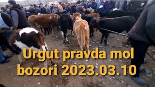 Urgut pravda mol bozori narxlari 2023.03.10 sana