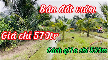 Kh1095 Bán đất vườn cách ql1a 500m ngang 13dai40 ở xã Long Định tỉnh tiền Giang alo 🌷🌹 0944773589