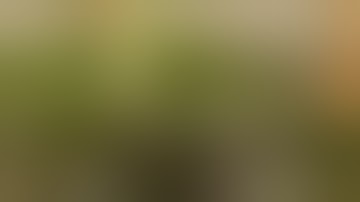 Put up my scrog net!