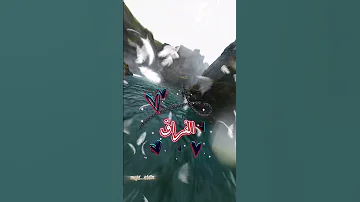 امي ياجنة العمر 