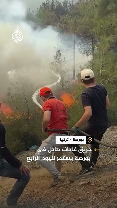    ..     
 - نشر قبل 12 دقيقة
