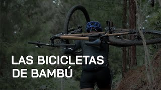 Las Bicicletas de Bambú, la nueva alternativa contra el Cambio Climático.