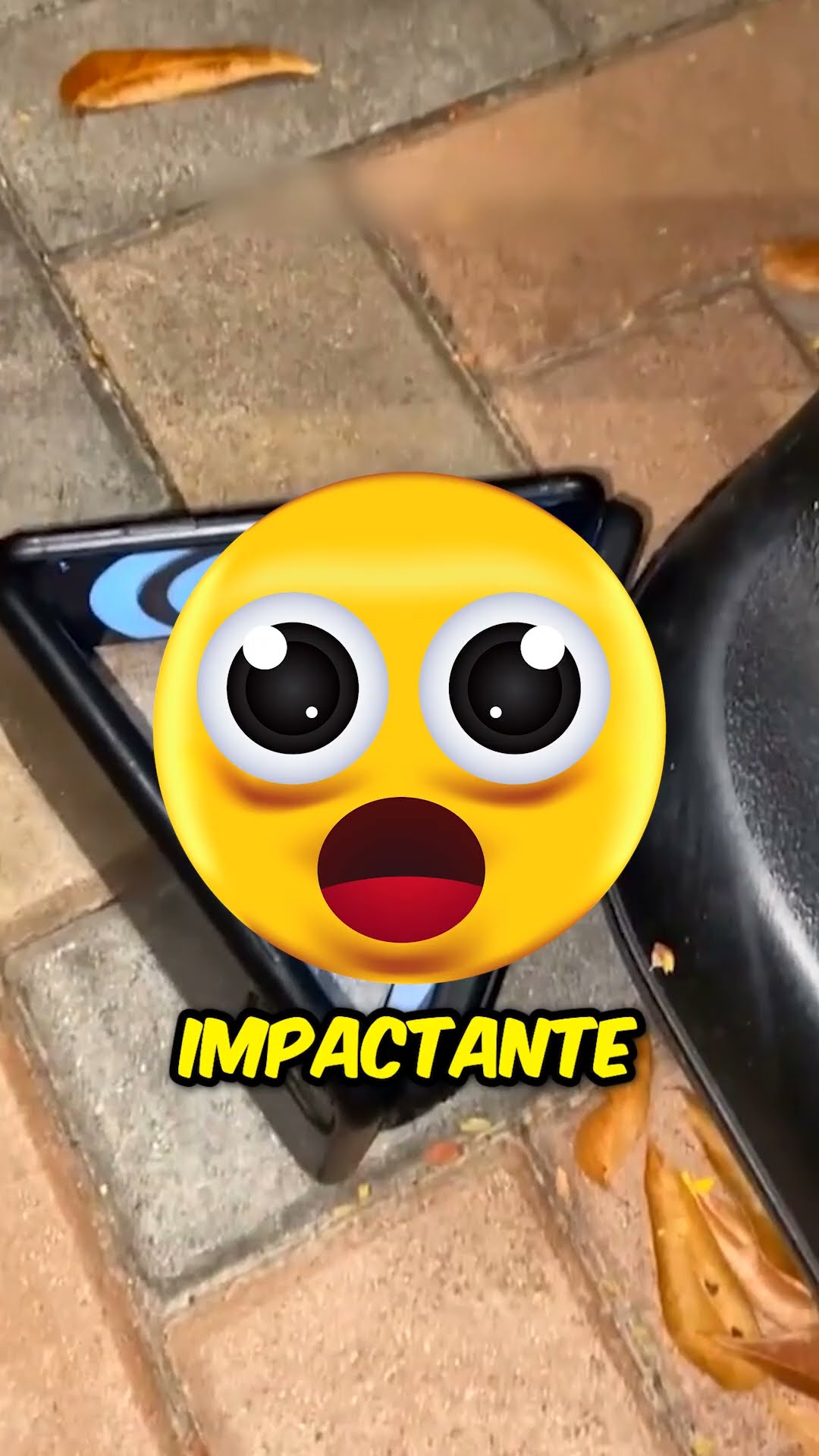 A la rana no le gustaron para nada ??