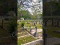 නිසල අරණ | Borella Cemetery