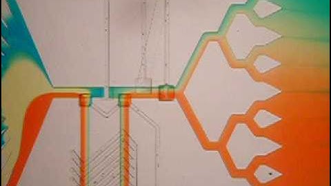 Microfluidic device with microvalves (mixer area) [Folch lab]