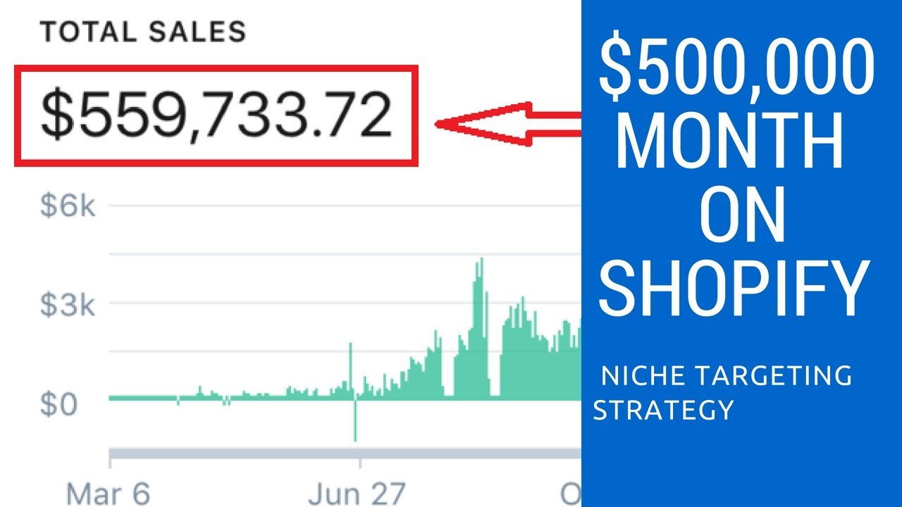 Shopify Tutorial For Beginners 2018 - Niche Targeting Strategy - $500,000 / Month On Shopify!