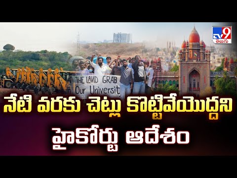 నేటి వరకు చెట్లు కొట్టివేయొద్దని హైకోర్టు ఆదేశం | Kancha Gachibowli land -TV9