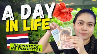 A Day In Life Of A Fish Studio Owner - Pet Shop + Xworld