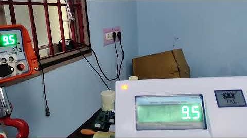 Mini Crane Weighing Scale with Modbus RTU RS485 Communication For PLC/DCS