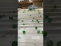 Marble Run. A soothing course that is satisfying in a unique way. 59