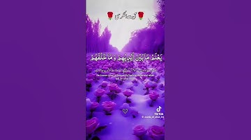 اية الكرسي هي الاية رقم 255 من سورة البقرة 😍😍😍😍😍😍😍😍😍