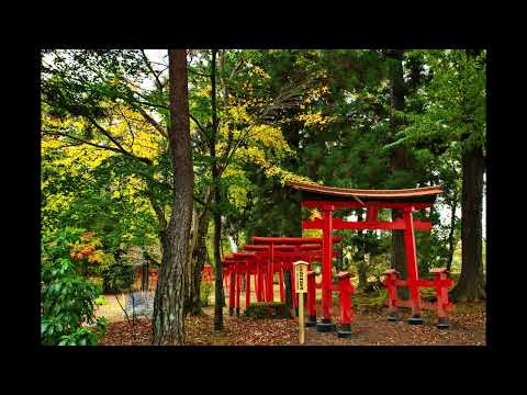 感激を求めて 須賀川牡丹園 11月7日  福島県須賀川市