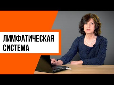 Video: Diagram Marginálnej Artérie, Anatómia A Funkcia Karosárske Mapy