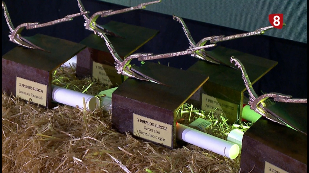 Unos Premios Surcos muy palentinos