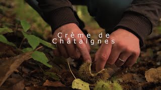 Recette de crème de châtaignes onctueuse.