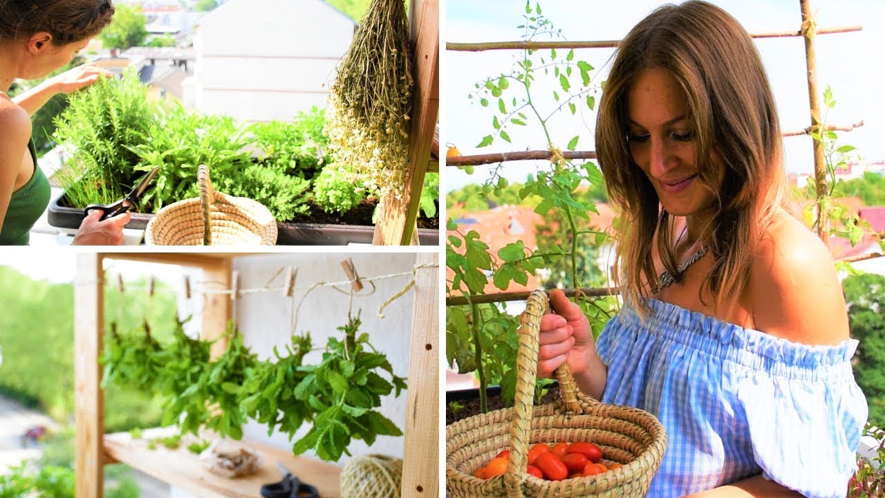 MOJ VRT NA BALKONU 2019. - 1. DIO