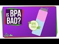 Should I Be Afraid of BPA?