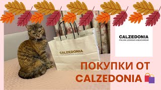 МОИ ПОКУПКИ В CALZEDONIA 🛍️ (ТРЦ МЕГА АЛМАТЫ) | ПОКУПАЕМ ТЕПЛЫЕ ВЕЩИ К ХОЛОДНОМУ СЕЗОНУ 🍁❄️
