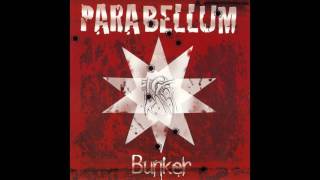 Video thumbnail of "Parabellum, Les Svinkels - Anarchie 2002 (feat. Les Svinkels)"