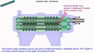 Screw Pump Working Animation