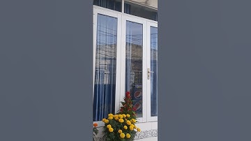 Cửa 4 cánh cường lực 28 tết 2023.