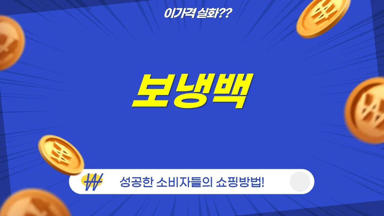 보냉력 끝판왕! 쿨러백 4종 비교 (레토/다소다/랑고/가나다라)