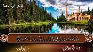 استمع سورة الملك بصوت شجي/ القرآن الكريم