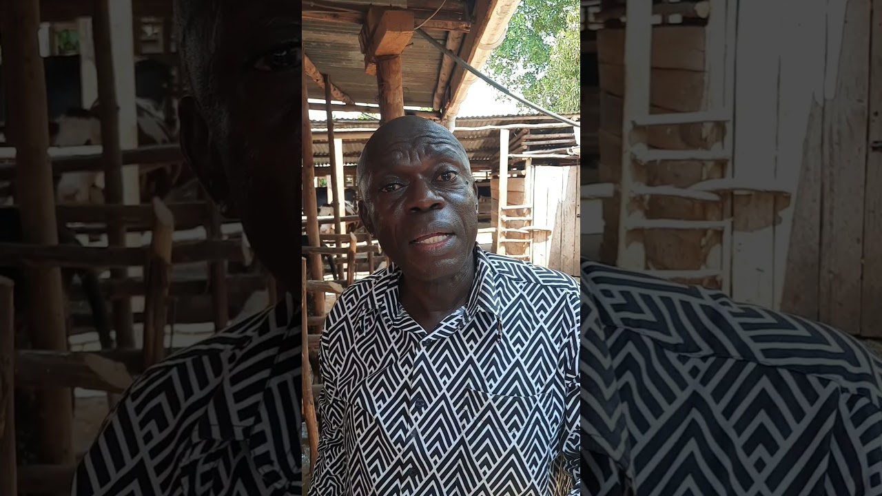 ENTE EMU = ZAABU YENYINI